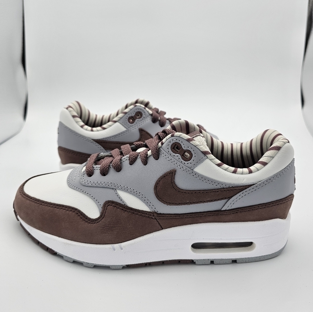 Nike Air Max 1 Premium 'Shima Shima' 2023